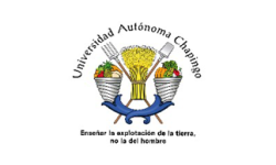chamingo